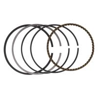 SEGMAN TAKIM PA1000İ