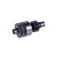 DİŞLİ KÜÇÜK BT25