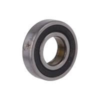 MOTOR RULMANI ALT (16002RS) TS-30,35,55