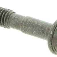 STARTER KAPAĞI VİDASI 545RX