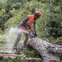 Husqvarna 550XP Mark II Motorlu Testere