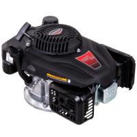 Loncın V200-F Eur5 Benzinli Motor 196cc 22-80mm Kamalı