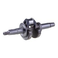 Weima Krank WM170 Konik Tip