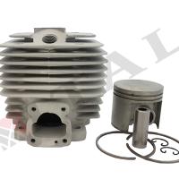 SİLİNDİR+PİSTON (AIP) STI. 08/TS350 47MM BREZIL